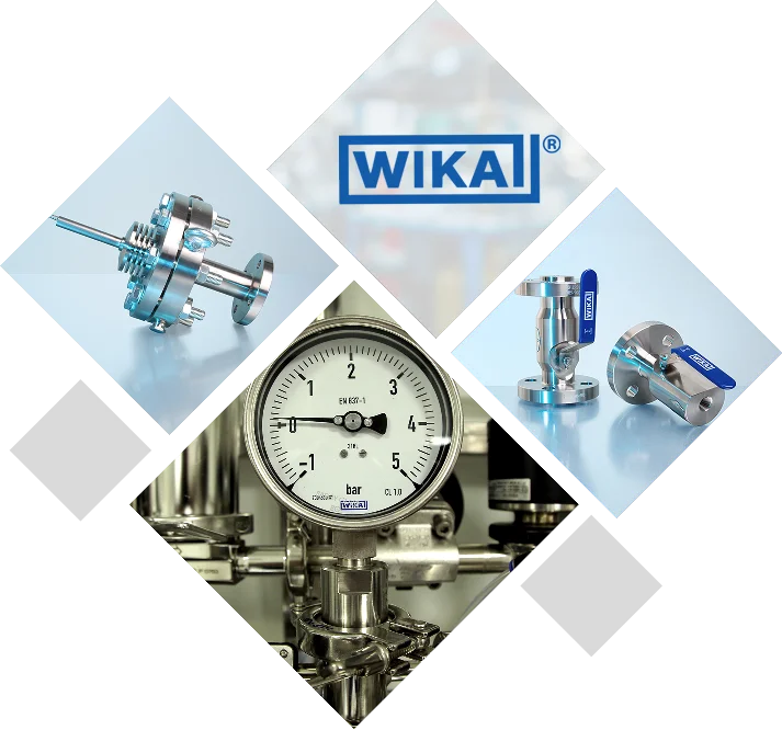 Distribuidor Autorizado Wika